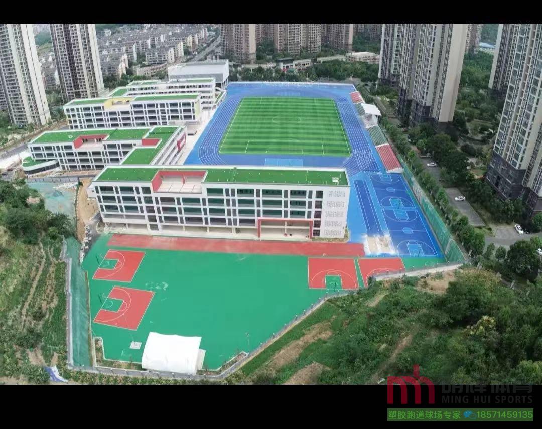 球场材料宜昌市田家炳中小学田径场塑胶跑道